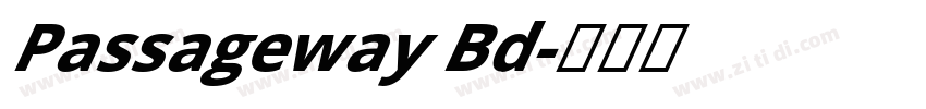 Passageway Bd字体转换